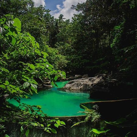 Forest Camp Resort Valencia  Ngoại thất bức ảnh