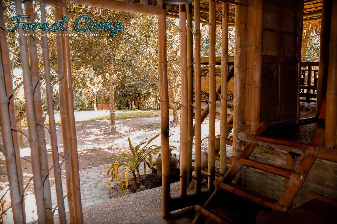 Forest Camp Resort Valencia  Ngoại thất bức ảnh