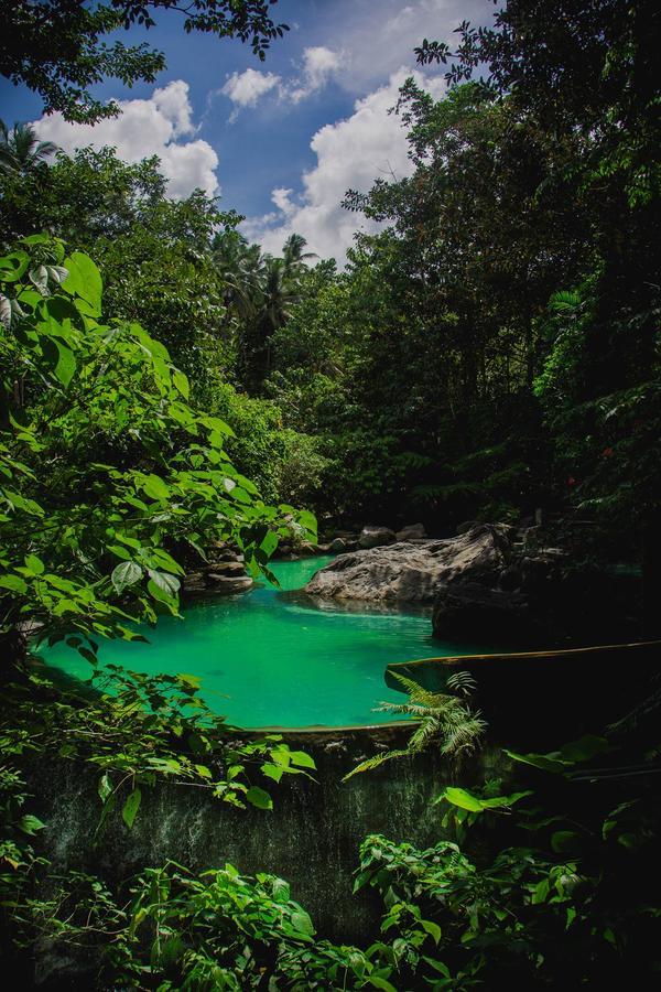 Forest Camp Resort Valencia  Ngoại thất bức ảnh