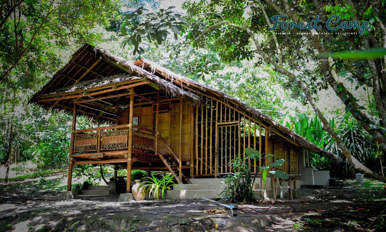 Forest Camp Resort Valencia  Ngoại thất bức ảnh