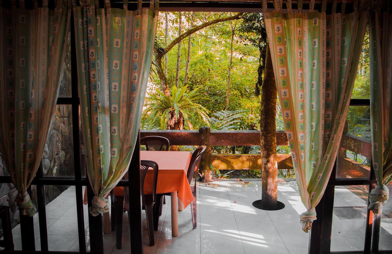 Forest Camp Resort Valencia  Ngoại thất bức ảnh